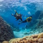 divers-dive-tropical-reef-with-b-20221221053356