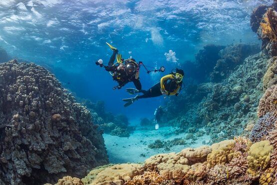 divers-dive-tropical-reef-with-b-20221221053356