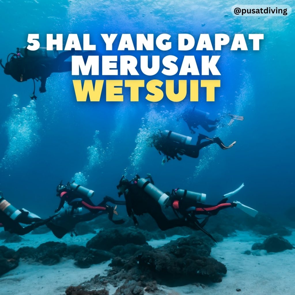 WhatsApp Image 2024-06-11 at 13.59.39
